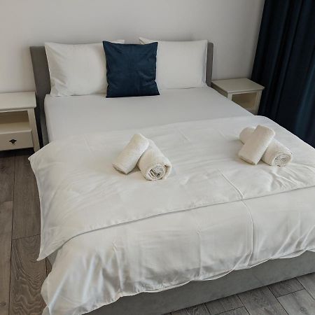Dumbravita  Alina'S Deluxe Apartment And Free Private Parking מראה חיצוני תמונה