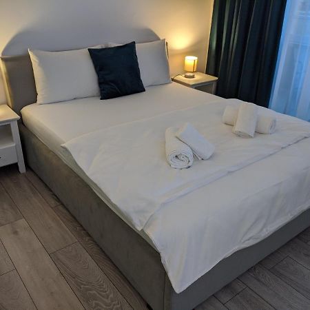 Dumbravita  Alina'S Deluxe Apartment And Free Private Parking מראה חיצוני תמונה