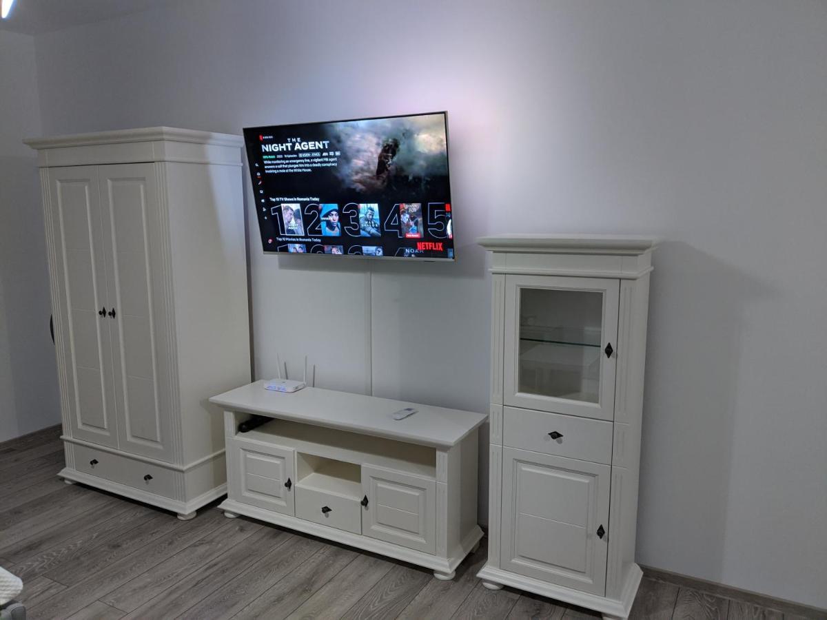 Dumbravita  Alina'S Deluxe Apartment And Free Private Parking מראה חיצוני תמונה