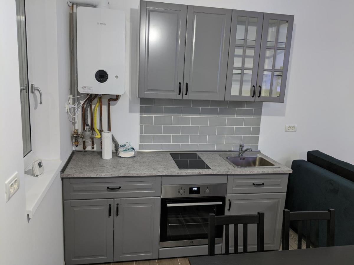 Dumbravita  Alina'S Deluxe Apartment And Free Private Parking מראה חיצוני תמונה