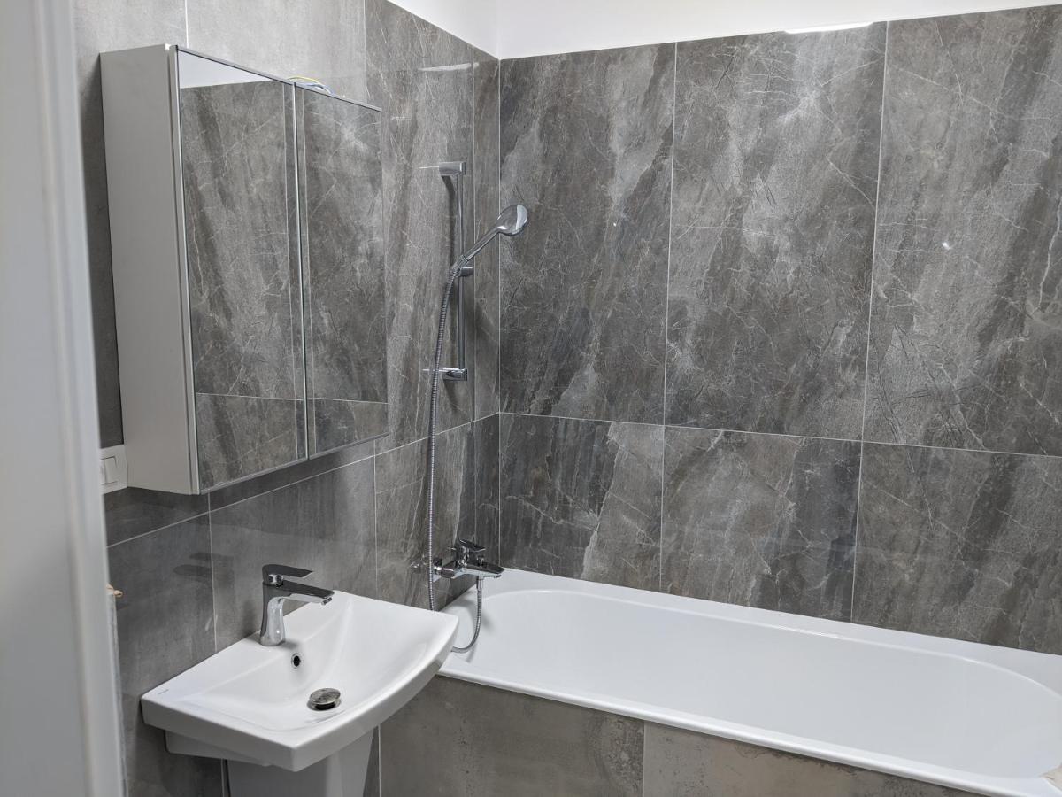 Dumbravita  Alina'S Deluxe Apartment And Free Private Parking מראה חיצוני תמונה