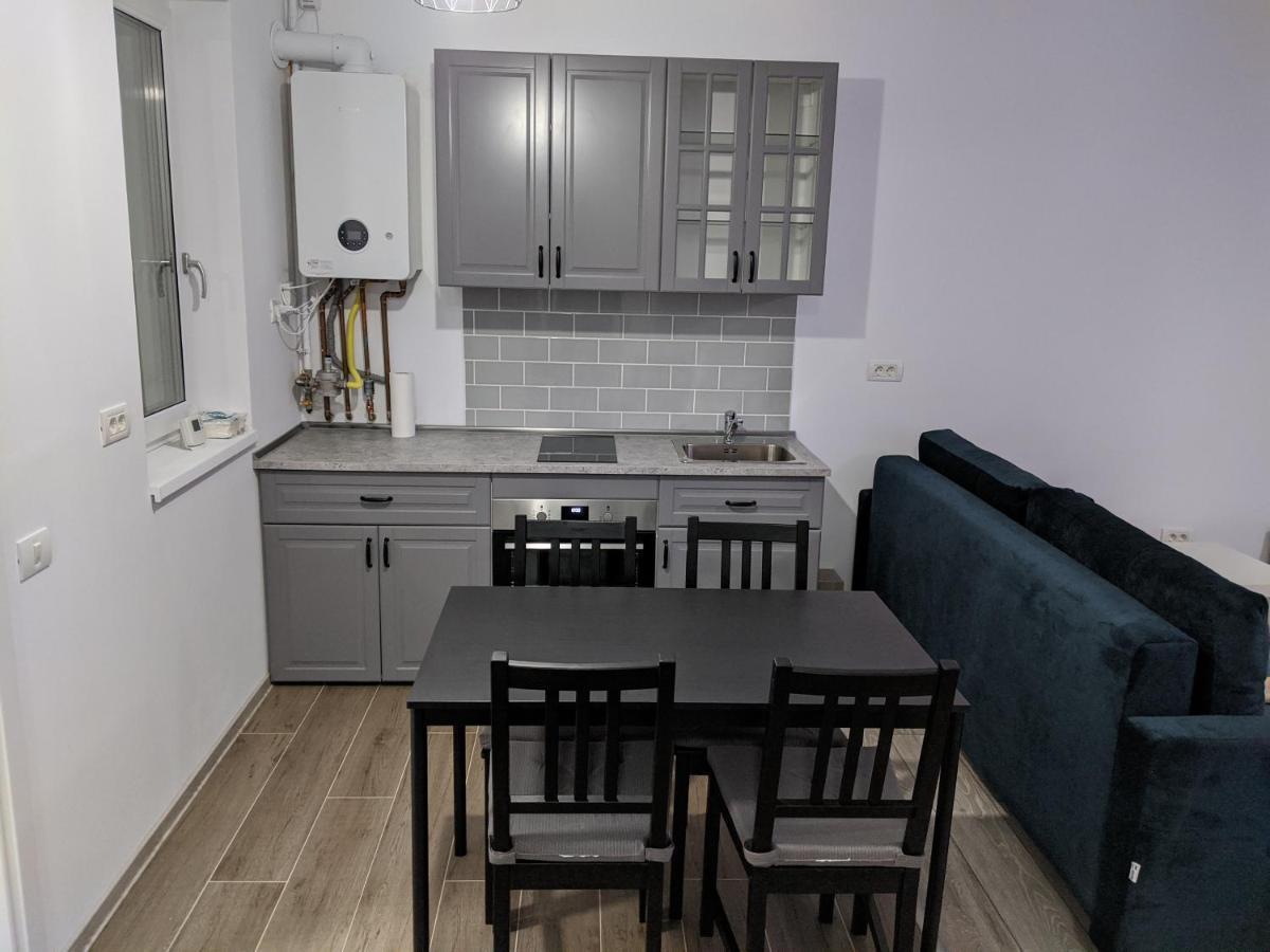 Dumbravita  Alina'S Deluxe Apartment And Free Private Parking מראה חיצוני תמונה