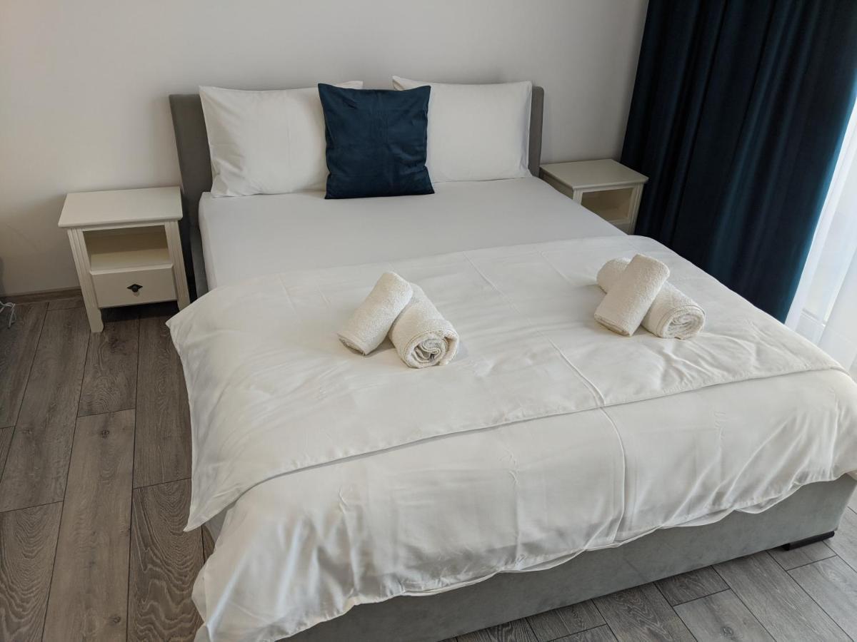 Dumbravita  Alina'S Deluxe Apartment And Free Private Parking מראה חיצוני תמונה