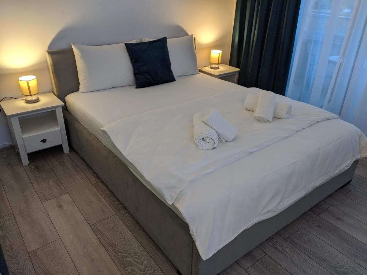 Dumbravita  Alina'S Deluxe Apartment And Free Private Parking מראה חיצוני תמונה